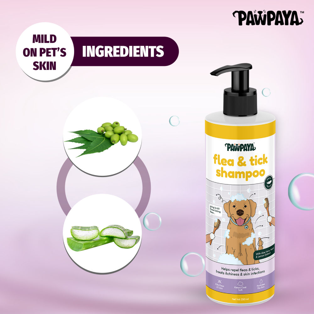 Pawpaya Flea & Tick Shampoo for Dogs — in use