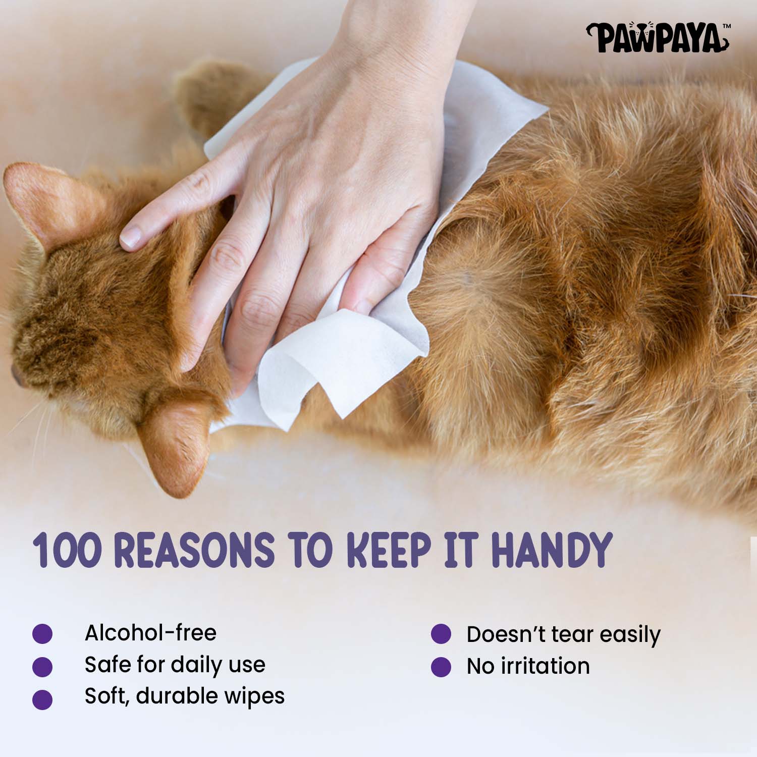 Pawpaya Lavender Scented Wipes For Dogs And Cats - Image 3