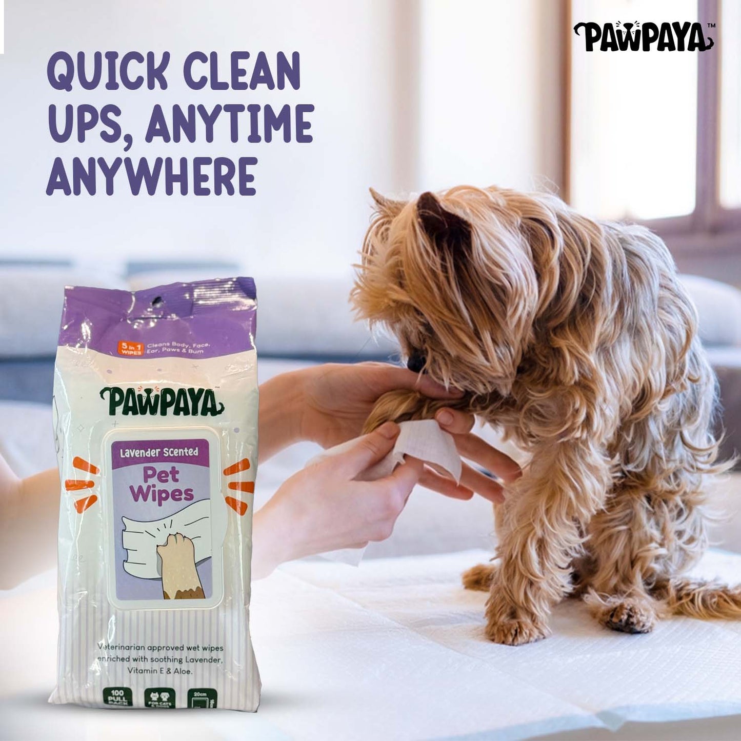 Pawpaya Lavender Scented Wipes For Dogs And Cats - Image 4