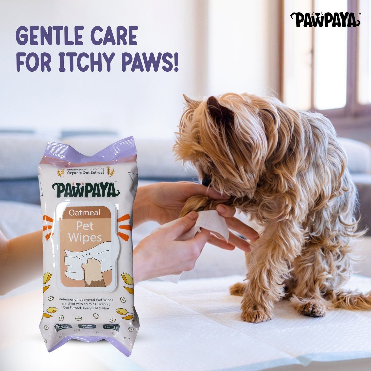 Pawpaya Oatmeal Wipes for Pets — side view