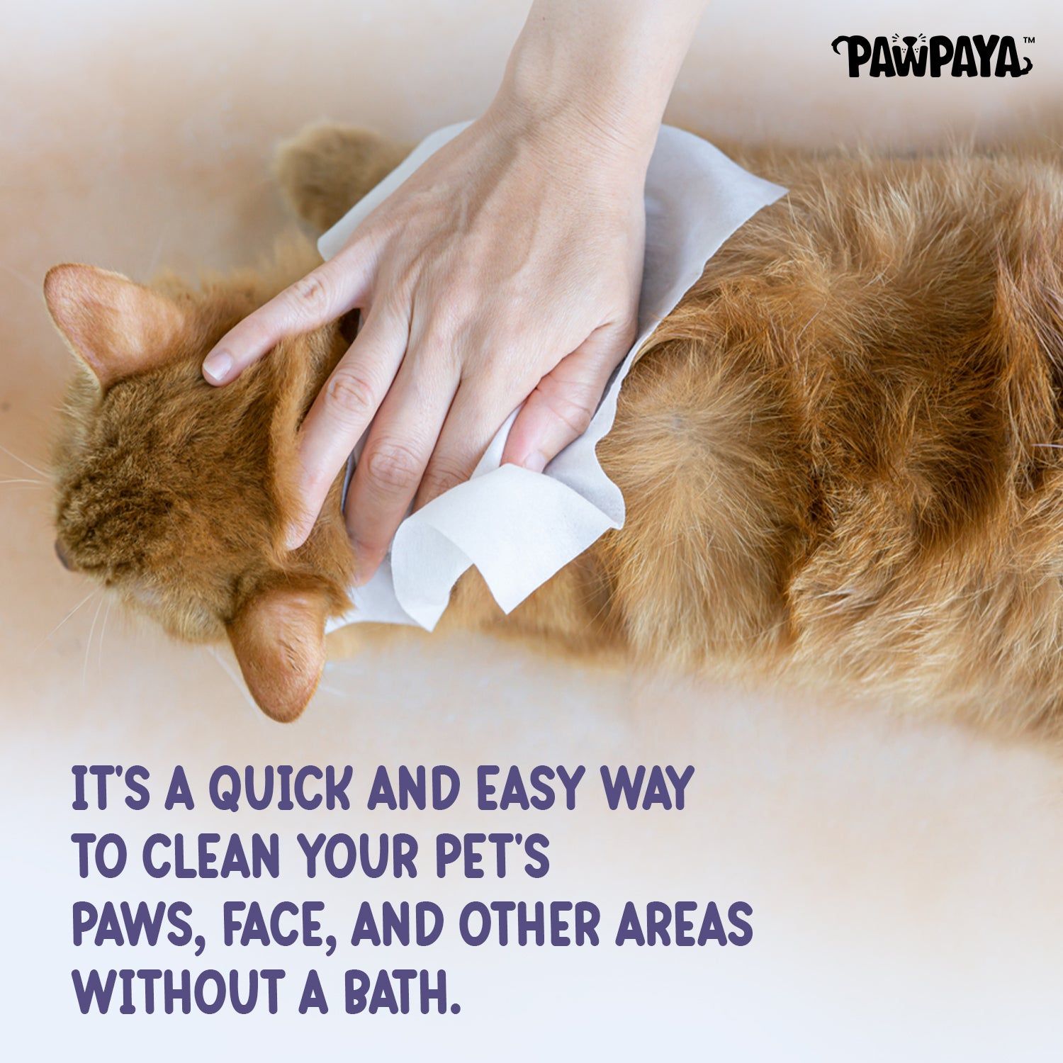 Pawpaya Oatmeal Wipes for Pets — in use