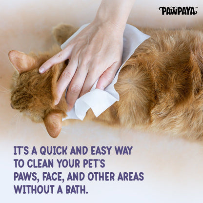 Pawpaya Oatmeal Wipes for Pets — in use