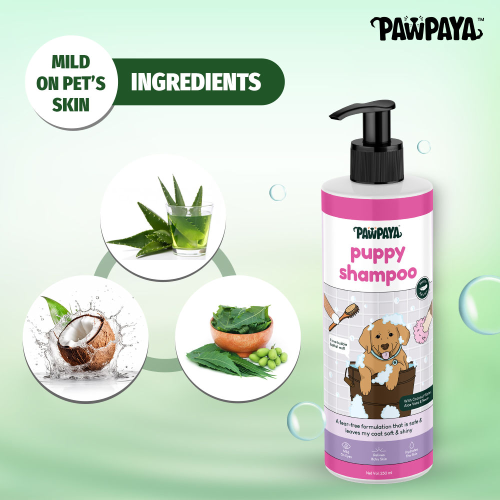 Pawpaya Puppy Shampoo for Dogs — in use