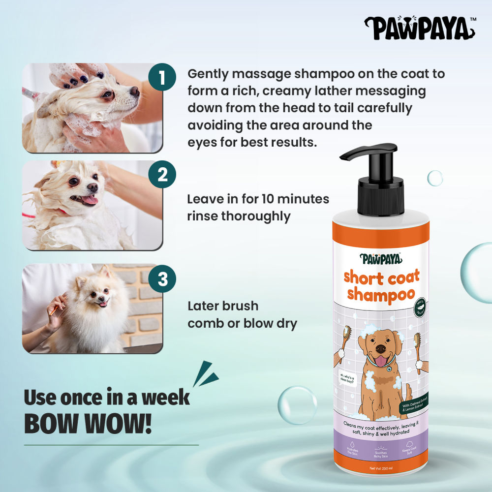 Pawpaya Short Coat Shampoo for Dogs — back view