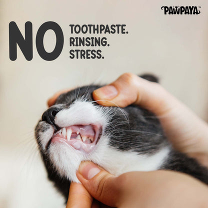 Pawpaya Tooth Wipes For Dogs And Cats - Image 5