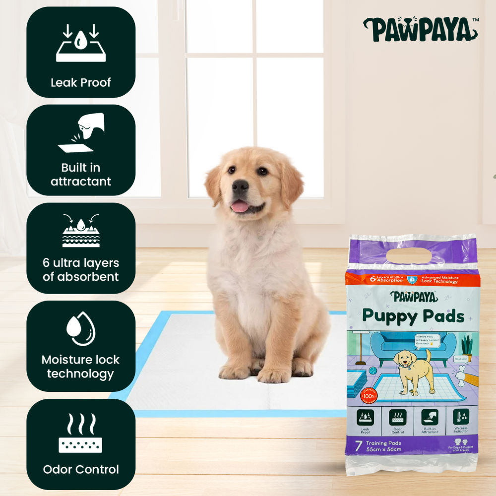 Pawpaya Training Pad for Dogs — side view