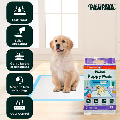 Pawpaya Training Pad for Dogs — side view