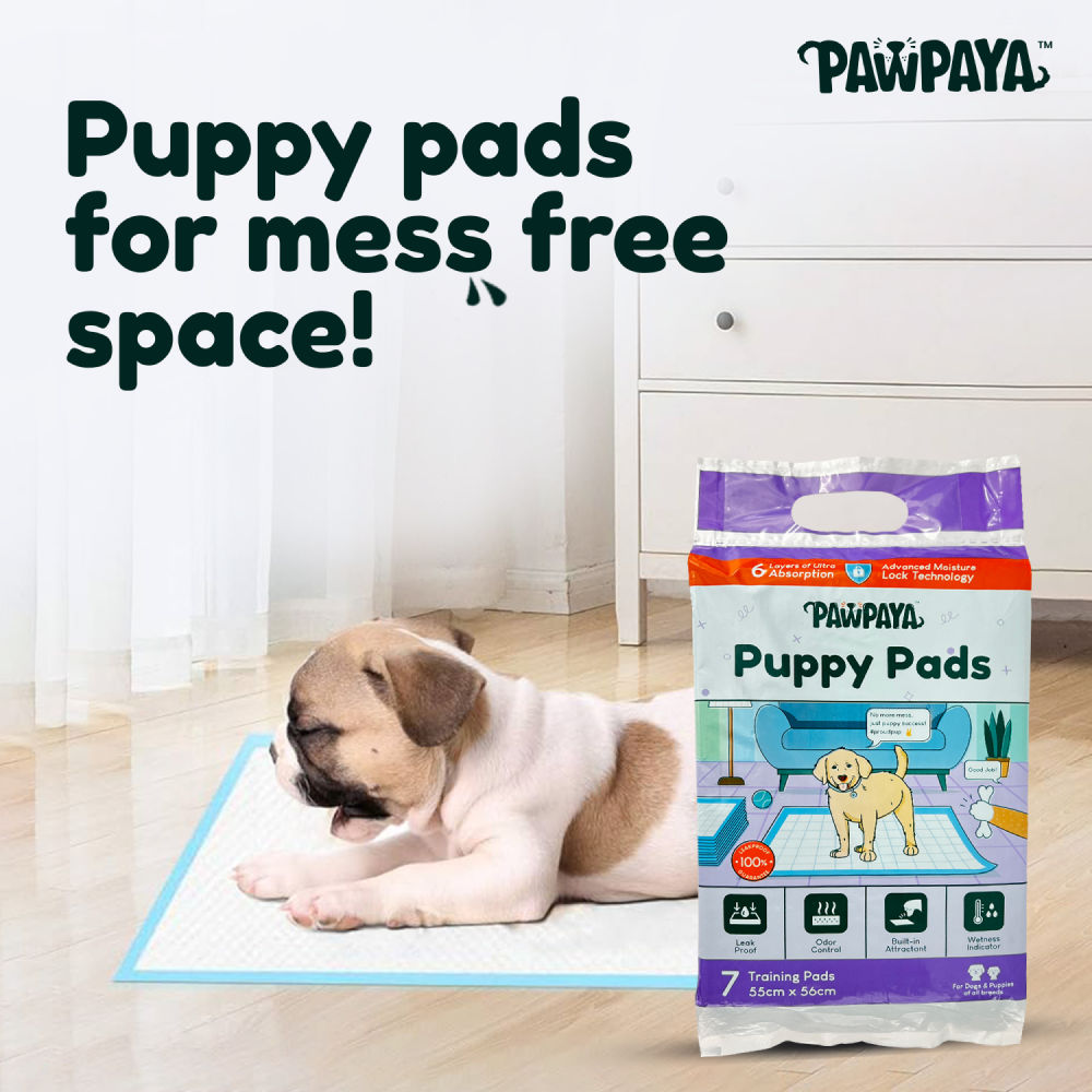 Pawpaya Training Pad for Dogs — back view