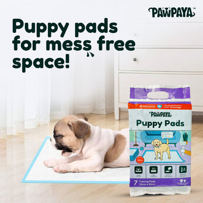Pawpaya Training Pad for Dogs — back view