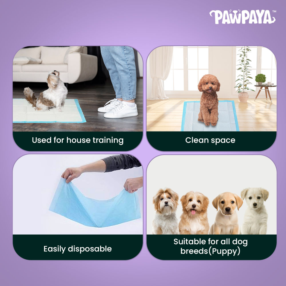 Pawpaya Training Pad for Dogs — in use