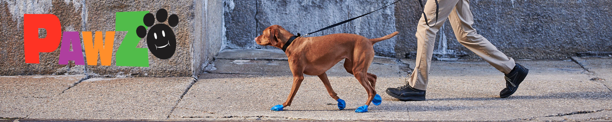 PawZ MaxWax Paw Balm for Dogs — back view