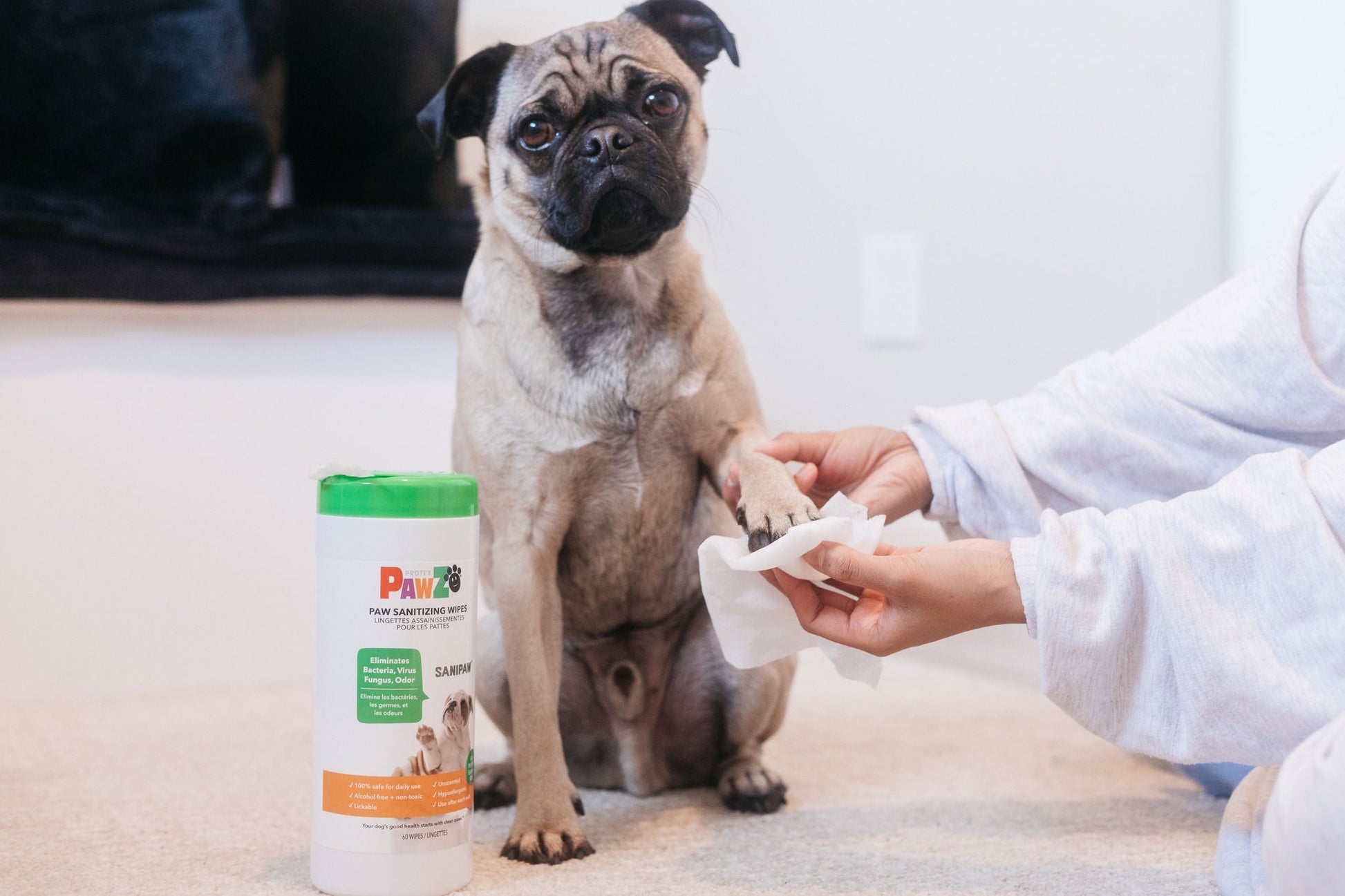 PawZ SANIPAW Wipes for Dogs — detail shot