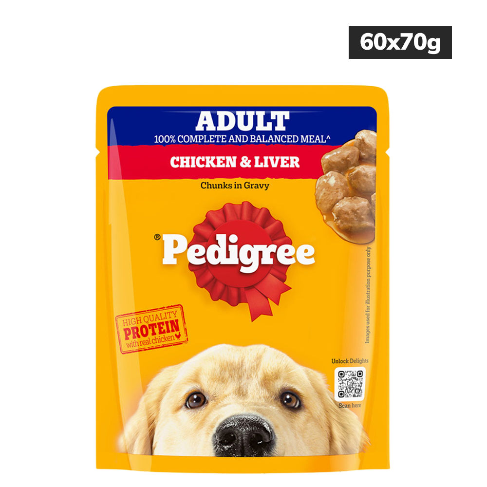 pedigree-chicken-liver-chunks-in-gravy-pouch-adult-dog-wet-food 60x70g