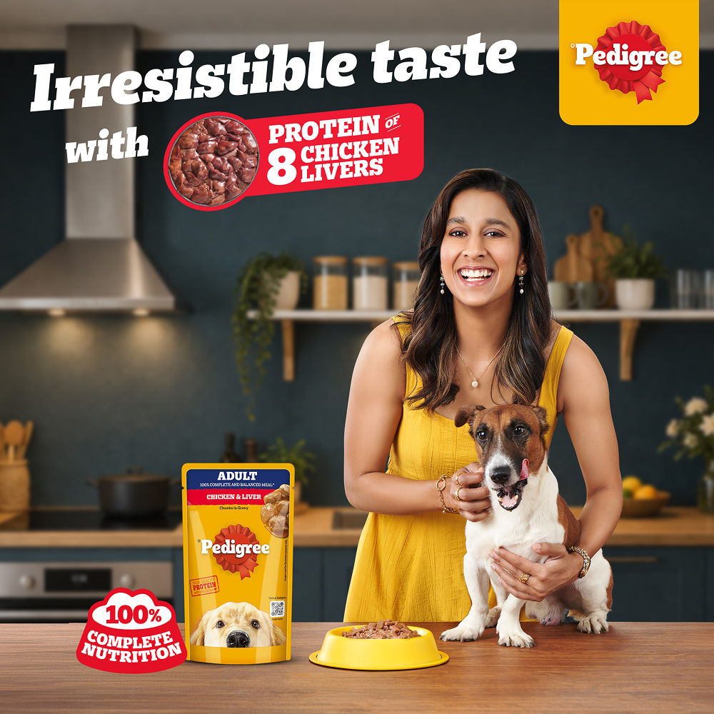 Pedigree Chicken and Liver Chunks in Gravy Adult Dog Wet Food — back view