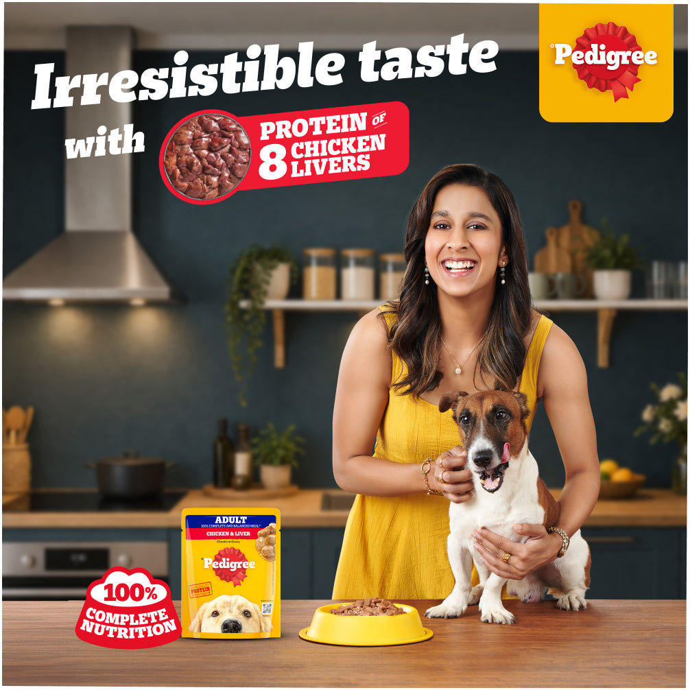 Pedigree Chicken and Liver Chunks in Gravy Adult Dog Wet Food — side view