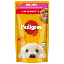 Pedigree Chicken And Liver Chunks In Gravy Pouch Puppy Dog Wet Food 130G