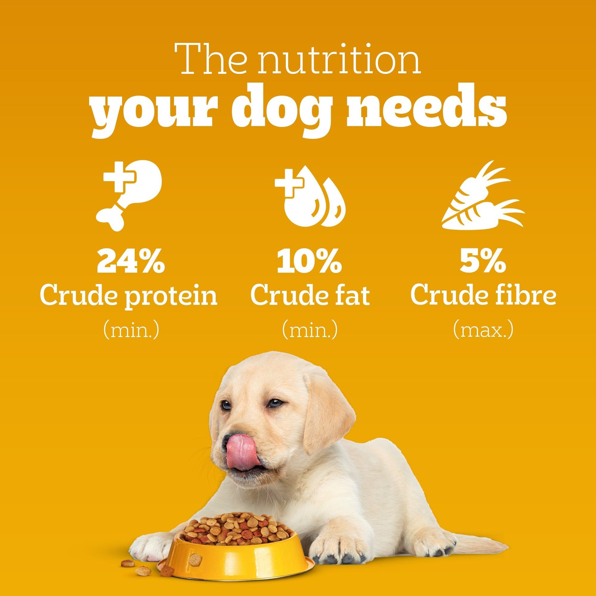 Pedigree Chicken and Milk Puppy Dog Dry Food — back view