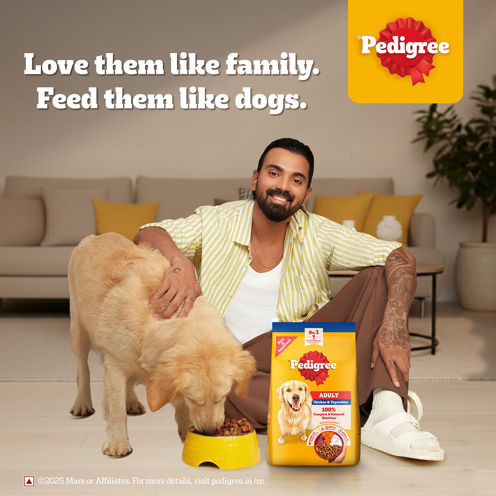 Pedigree Chicken and Vegetables Adult Dog Dry Food — back view