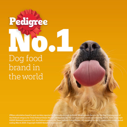 Pedigree Chicken and Vegetables Adult Dog Dry Food — detail shot