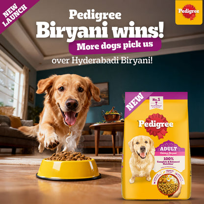 Pedigree Chicken Biryani Flavour Adult Dog Dry Food — in use