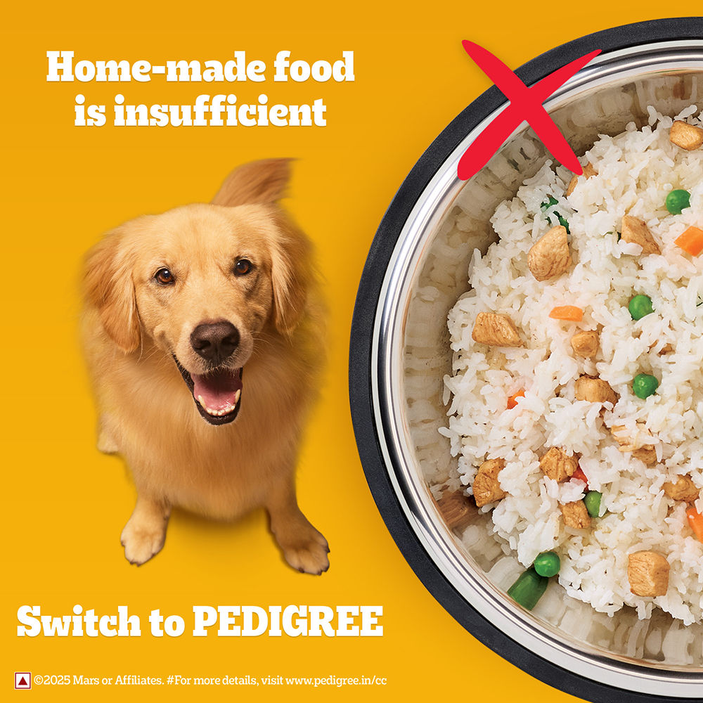 Pedigree Chicken, Egg and Rice Adult Dog Dry Food — detail shot