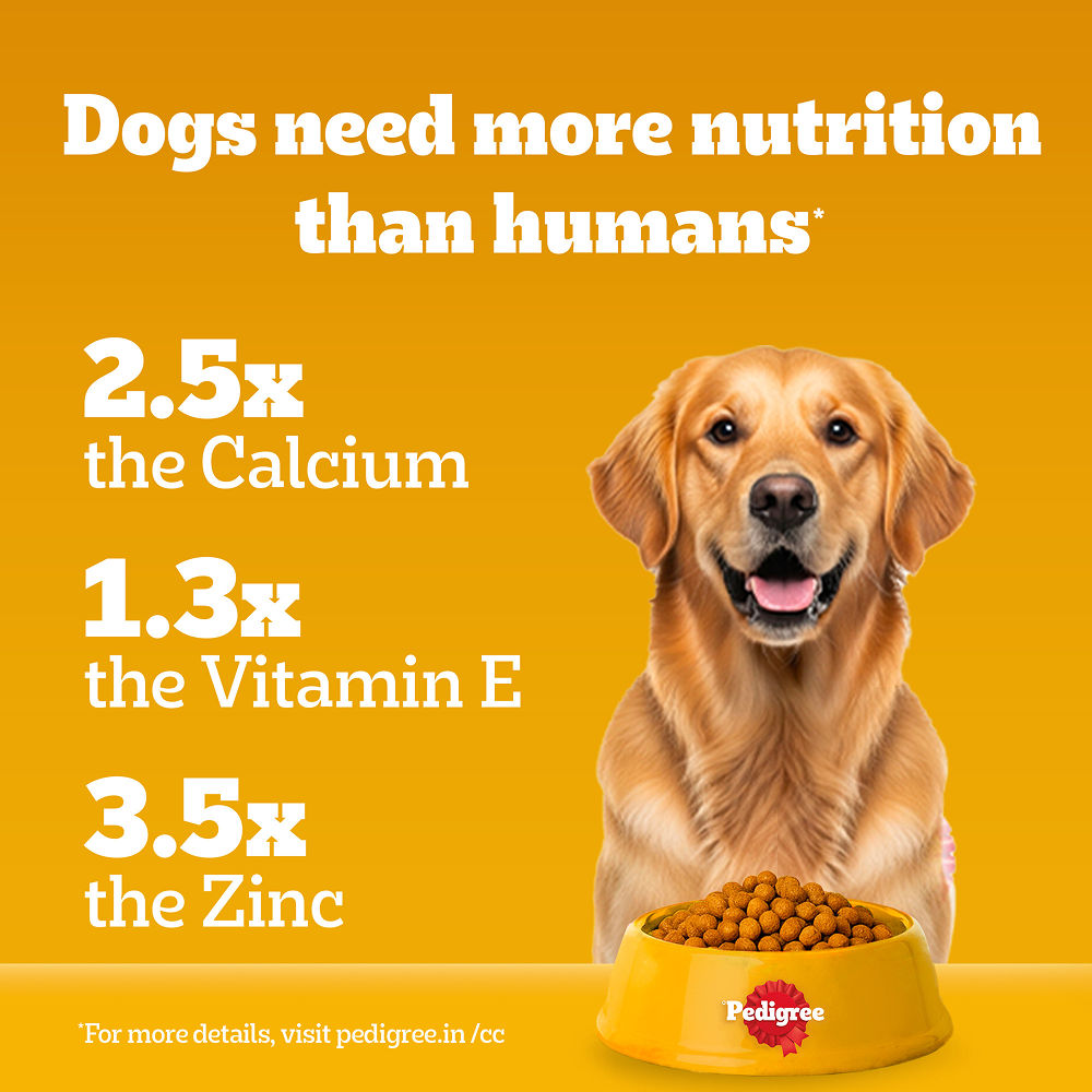 Pedigree Chicken, Egg and Rice Adult Dog Dry Food — in use