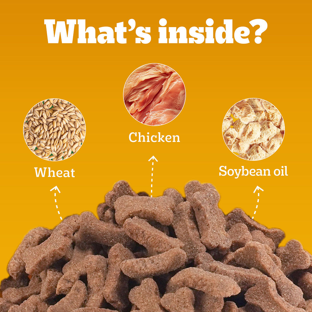 Pedigree Chicken Flavour Biscrok Biscuits Dog Treats — in use