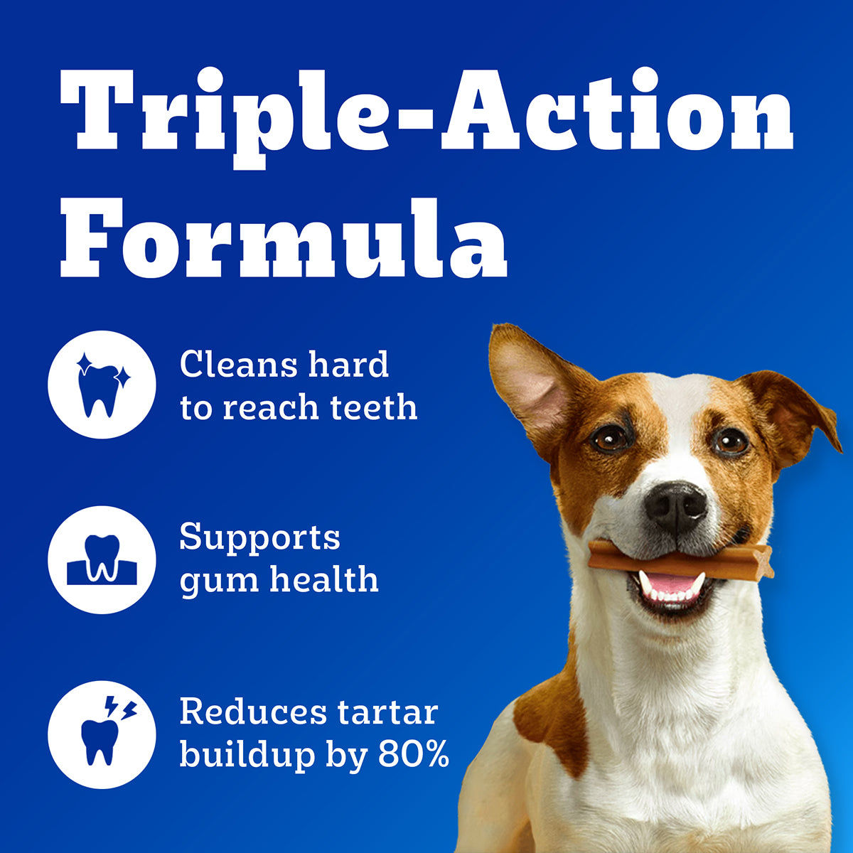 Pedigree Dentastix Oral Care for Adult (Medium Breed of 10 to 25 kg) Dog Treats — side view