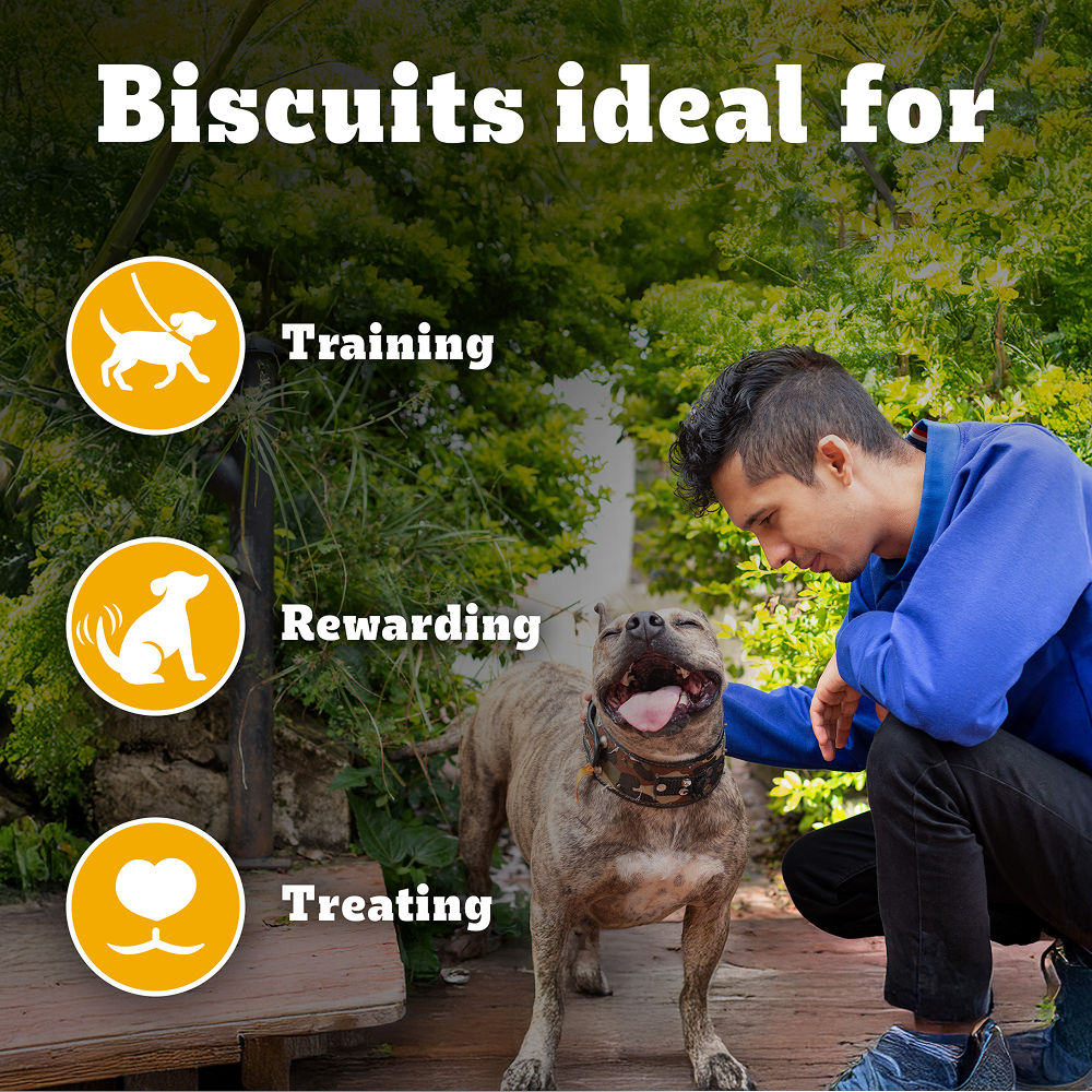 Pedigree Lamb Flavour Biscrok Biscuits Dog Treats — back view