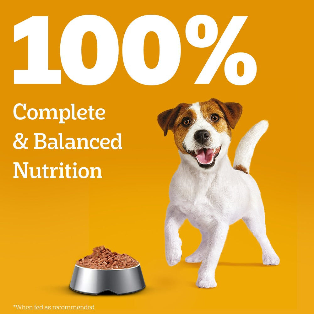 Pedigree Lamb Flavour Chunks in Gravy Puppy Wet Food — back view