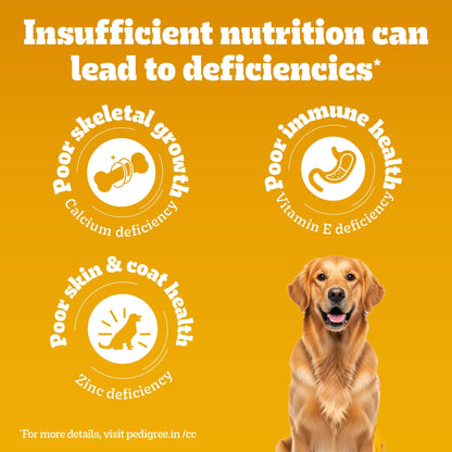 Pedigree Meat & Rice Adult Dog Dry Food — detail shot