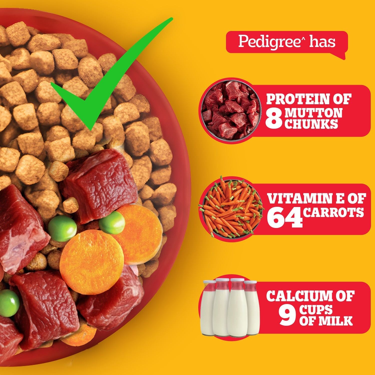 Pedigree Meat & Rice Adult Dog Dry Food — in use