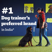 Pedigree Milk And Chicken Flavour Biscrok Biscuits Dog Treat - Image 2