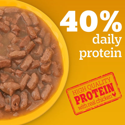 Pedigree Roasted Lamb Flavour Chunks in Gravy Adult Dog Wet Food — detail shot