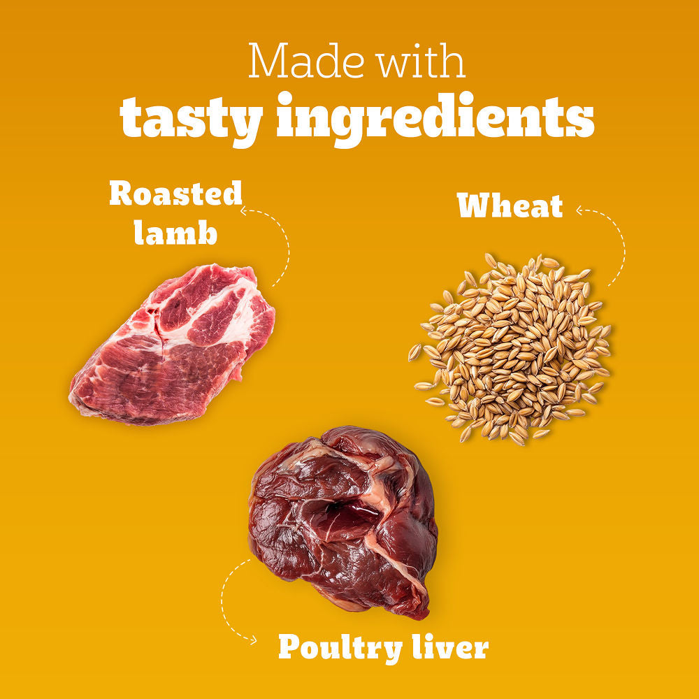 Pedigree Roasted Lamb Tasty Jerky Dog Treat — in use