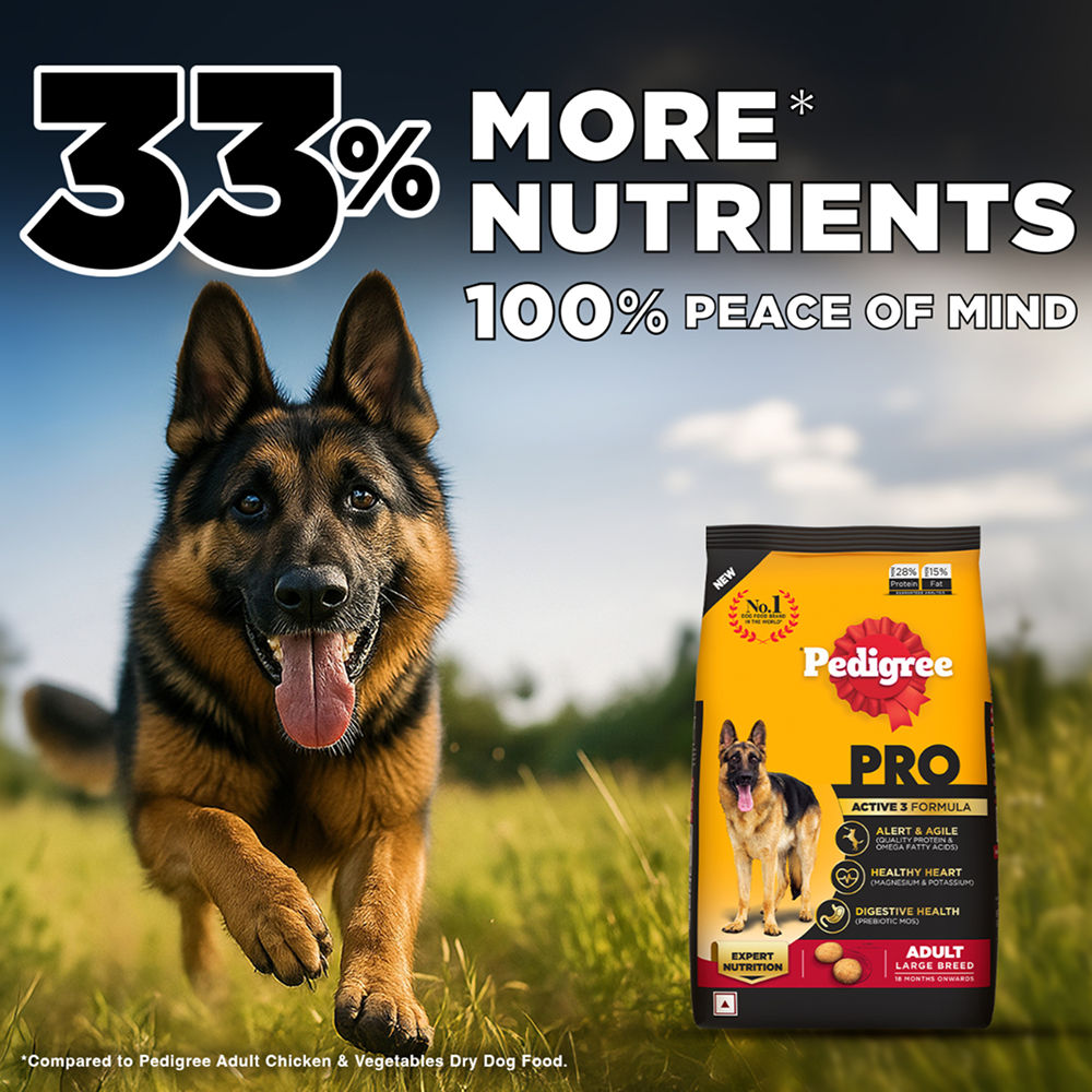 Pedigree PRO Expert Nutrition Active Adult (18 Months Onwards) Large Breed Dog Dry Food — back view