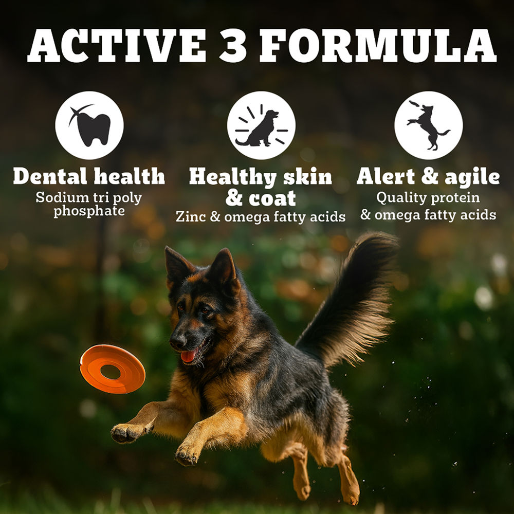 Pedigree PRO Expert Nutrition Active Adult (18 Months Onwards) Large Breed Dog Dry Food — detail shot