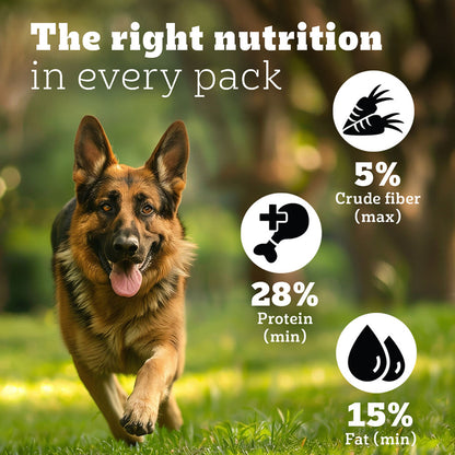 Pedigree PRO Expert Nutrition Active Adult (18 Months Onwards) Large Breed Dog Dry Food — in use