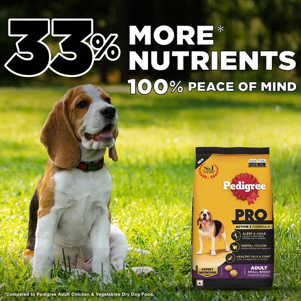 Pedigree PRO Expert Nutrition Adult Dog Dry Food for Small Breed — back view