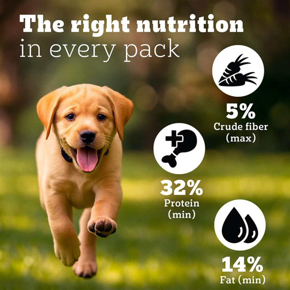 Pedigree PRO Expert Nutrition for Large Breed Puppy (3 to 18 Months) Dog Dry Food — in use