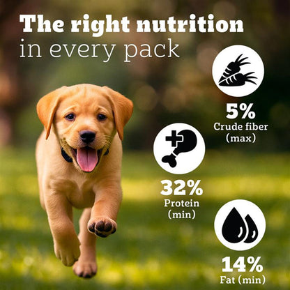 Pedigree PRO Expert Nutrition for Large Breed Puppy (3 to 18 Months) Dog Dry Food — in use
