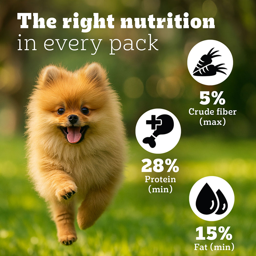 Pedigree PRO Expert Nutrition Small Breed Puppy (2 to 9 Months) Dry Food — in use