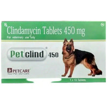 Petcare Petclind 450Mg Clindamycin Tablet For Dogs