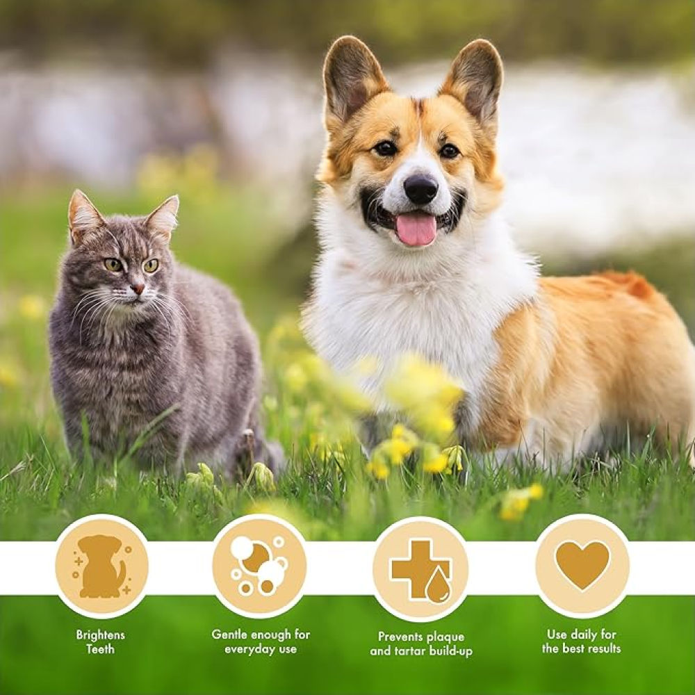 Petkin Peanut Butter Plaque Gel for Dogs and Cats — detail shot
