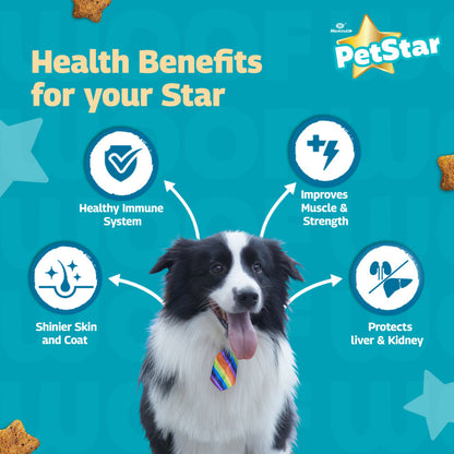 Mankind Petstar Chicken and Wheat Adult Dog Dry Food — in use