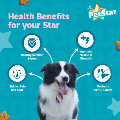 Mankind Petstar Meat and Wheat Adult Dog Dry Food — in use
