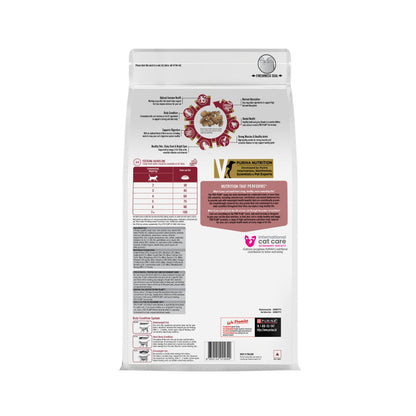 Pro Plan Chicken Flavoured Adult Cat Dry Food — in use