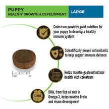 Proplan Chicken Large Puppy Dry Food - Image 2