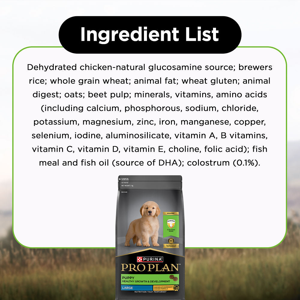 Pro Plan Chicken Large Breed Puppy Dog Dry Food — detail shot