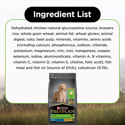 Pro Plan Chicken Large Breed Puppy Dog Dry Food — detail shot